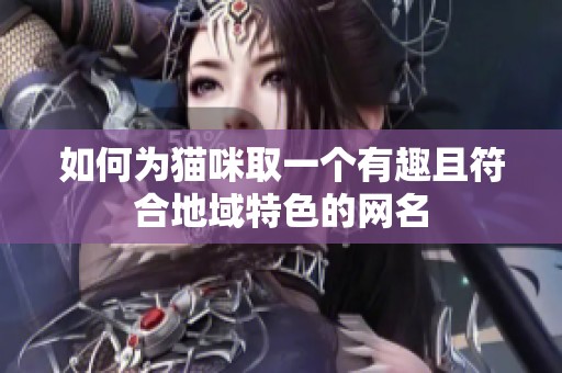 如何为猫咪取一个有趣且符合地域特色的网名