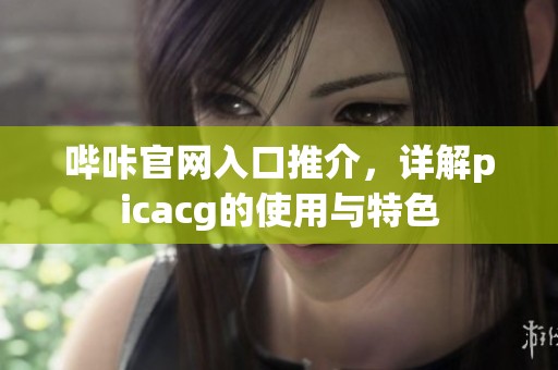哔咔官网入口推介，详解picacg的使用与特色