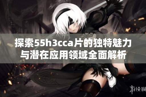 探索55h3cca片的独特魅力与潜在应用领域全面解析