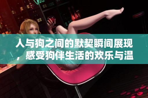 人与狗之间的默契瞬间展现，感受狗伴生活的欢乐与温暖