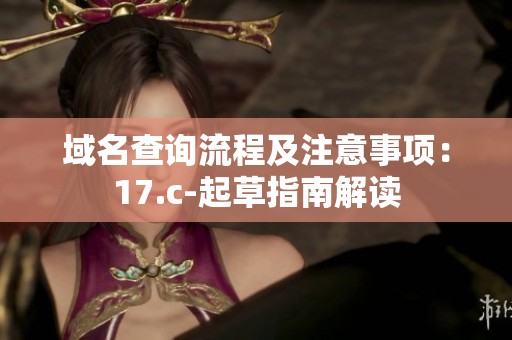 域名查询流程及注意事项：17.c-起草指南解读