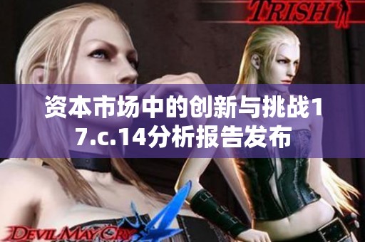 资本市场中的创新与挑战17.c.14分析报告发布