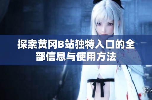 探索黄冈B站独特入口的全部信息与使用方法