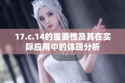 17.c.14的重要性及其在实际应用中的体现分析
