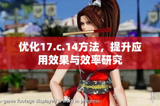 优化17.c.14方法，提升应用效果与效率研究