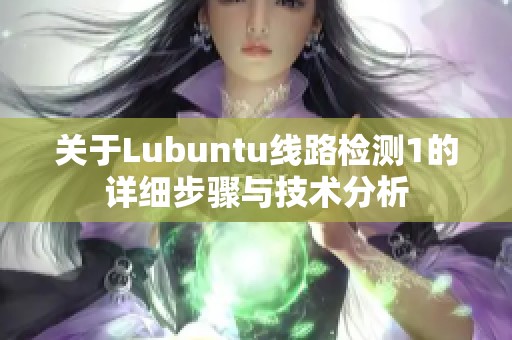 关于Lubuntu线路检测1的详细步骤与技术分析