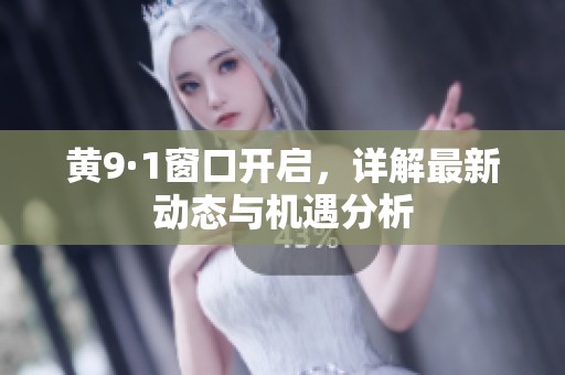 黄9·1窗口开启，详解最新动态与机遇分析