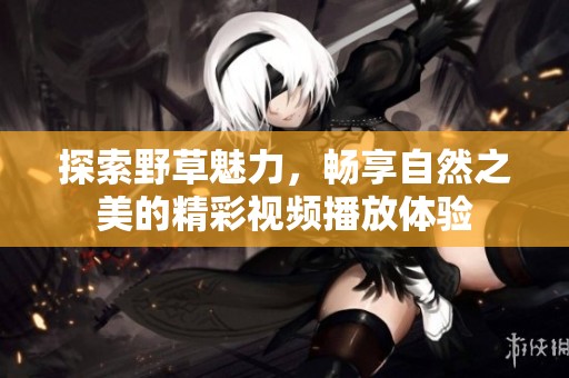 探索野草魅力，畅享自然之美的精彩视频播放体验