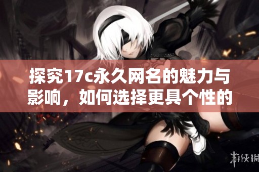 探究17c永久网名的魅力与影响，如何选择更具个性的名字