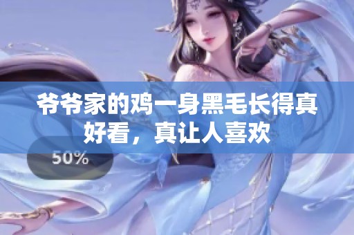爷爷家的鸡一身黑毛长得真好看，真让人喜欢