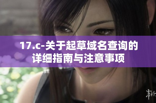 17.c-关于起草域名查询的详细指南与注意事项