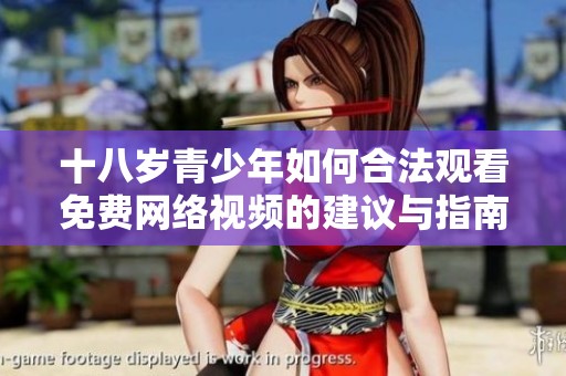 十八岁青少年如何合法观看免费网络视频的建议与指南