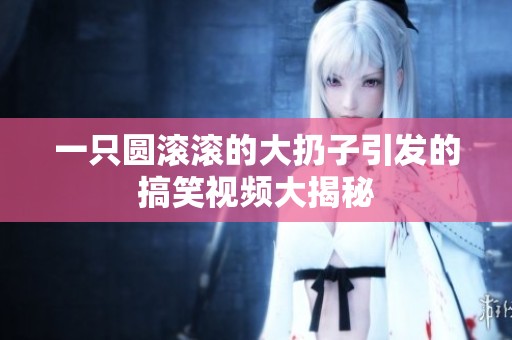 一只圆滚滚的大扔子引发的搞笑视频大揭秘