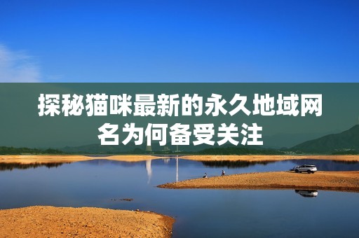 探秘猫咪最新的永久地域网名为何备受关注