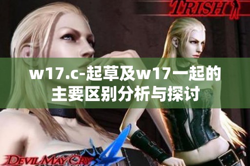 w17.c-起草及w17一起的主要区别分析与探讨