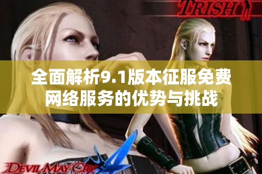 全面解析9.1版本征服免费网络服务的优势与挑战