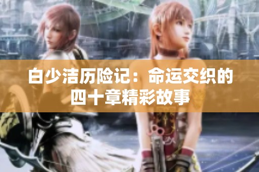 白少洁历险记：命运交织的四十章精彩故事