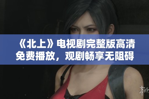 《北上》电视剧完整版高清免费播放，观剧畅享无阻碍