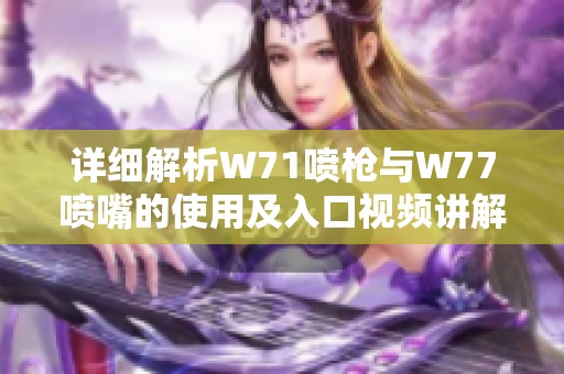 详细解析W71喷枪与W77喷嘴的使用及入口视频讲解