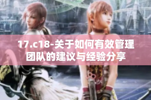 17.c18-关于如何有效管理团队的建议与经验分享