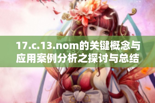 17.c.13.nom的关键概念与应用案例分析之探讨与总结