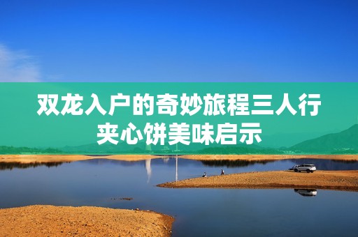 双龙入户的奇妙旅程三人行夹心饼美味启示