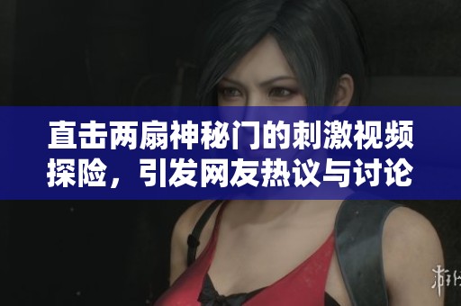 直击两扇神秘门的刺激视频探险，引发网友热议与讨论