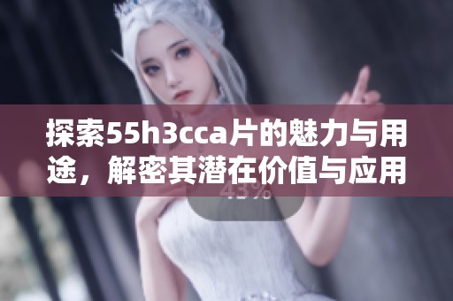 探索55h3cca片的魅力与用途，解密其潜在价值与应用场景