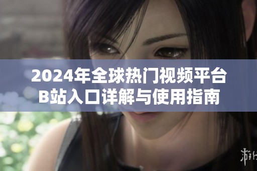 2024年全球热门视频平台B站入口详解与使用指南