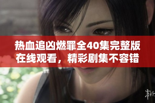 热血追凶燃罪全40集完整版在线观看，精彩剧集不容错过