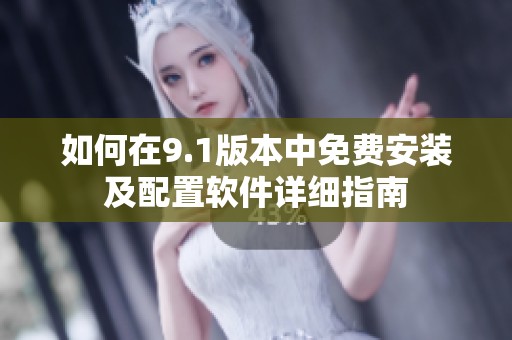 如何在9.1版本中免费安装及配置软件详细指南