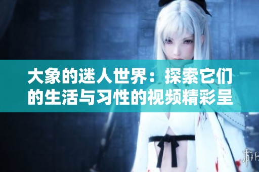 大象的迷人世界：探索它们的生活与习性的视频精彩呈现