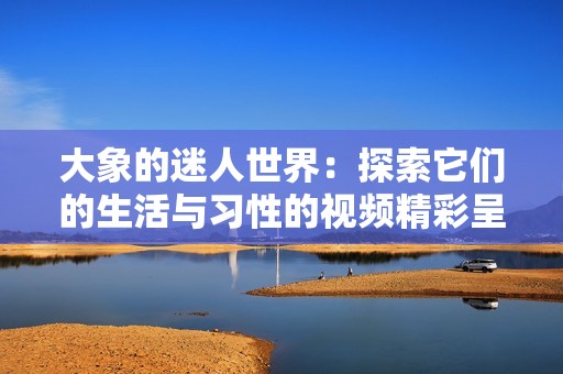 大象的迷人世界：探索它们的生活与习性的视频精彩呈现