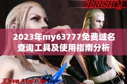 2023年my63777免费域名查询工具及使用指南分析