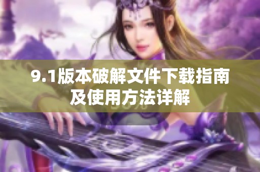 9.1版本破解文件下载指南及使用方法详解
