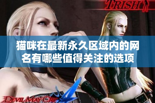 猫咪在最新永久区域内的网名有哪些值得关注的选项