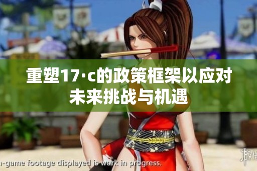 重塑17·c的政策框架以应对未来挑战与机遇