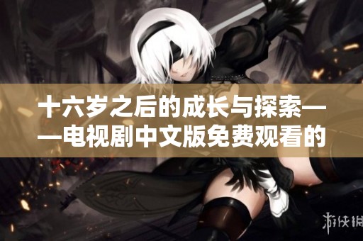 十六岁之后的成长与探索——电视剧中文版免费观看的精彩故事
