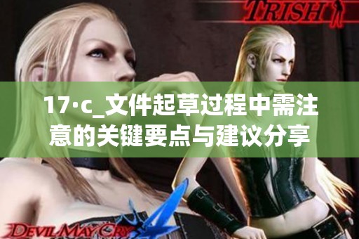 17·c_文件起草过程中需注意的关键要点与建议分享