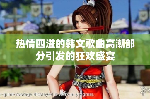 热情四溢的韩文歌曲高潮部分引发的狂欢盛宴