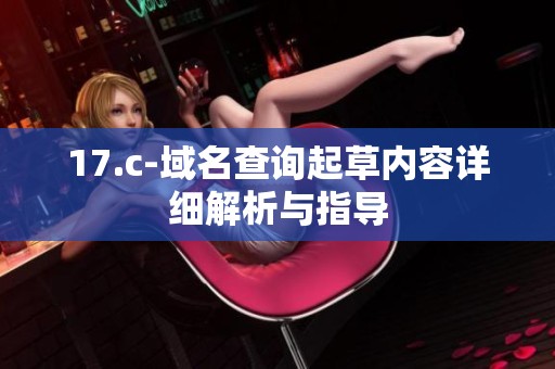 17.c-域名查询起草内容详细解析与指导