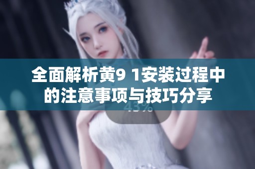 全面解析黄9 1安装过程中的注意事项与技巧分享