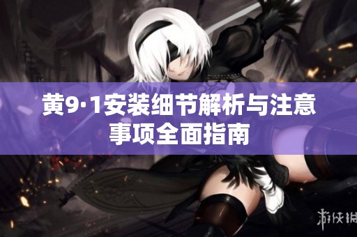 黄9·1安装细节解析与注意事项全面指南