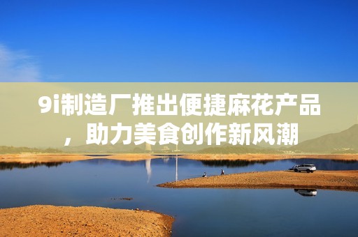 9i制造厂推出便捷麻花产品，助力美食创作新风潮