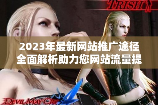2023年最新网站推广途径全面解析助力您网站流量提升